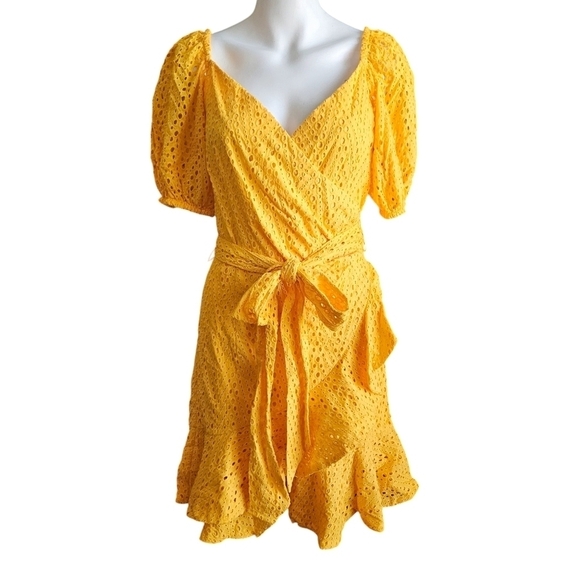 Sachin + Babi Dresses & Skirts - Sachin & Babi Davie Lace‎ Mini Wrap Ruffle Dress Sz 4 NWOT Spring Easter